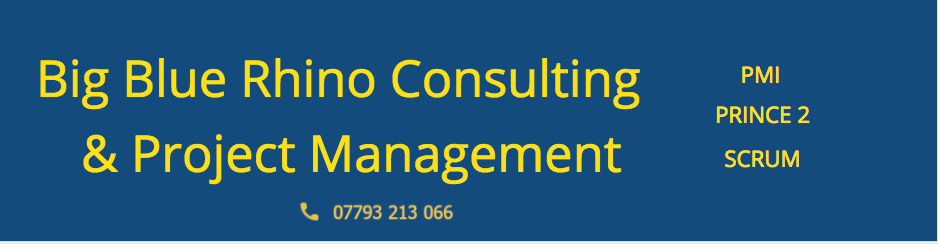 Big Blue Rhino Consulting